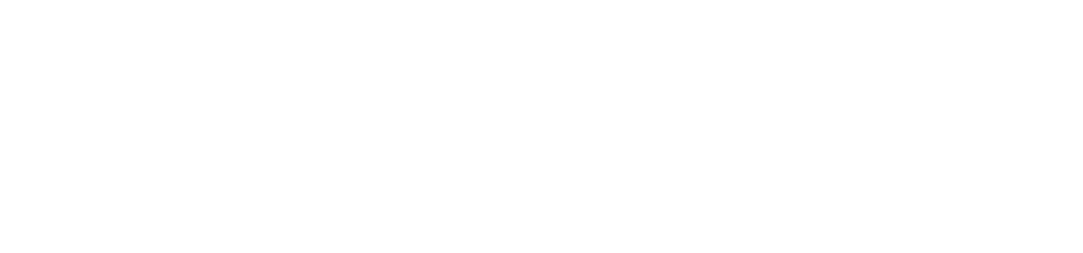 Sponsor Shellring Ale Works Logo