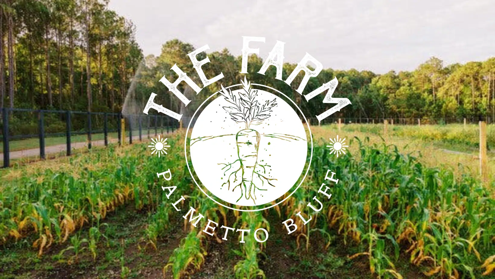 The Farm Palmetto Bluff